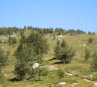 Landschaft