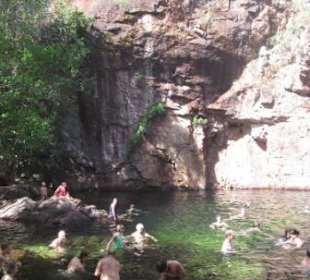 Badevergnügen ohne Krokodile (Florence Falls)