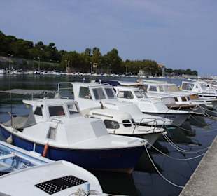Hafen von Zadar