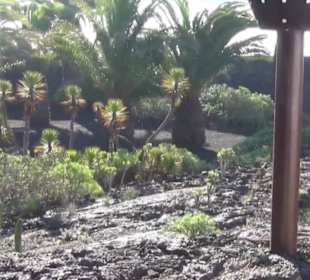 Fundacion Cesar Manrique