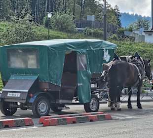 Pferdeshuttle zum Schloss