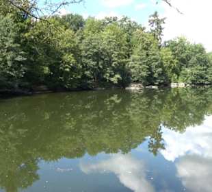 Neuer See