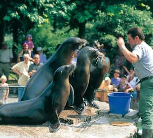 Wilhelma - unser zoologisch-botanischer Garten