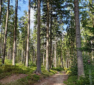 Radfahren Guglwald