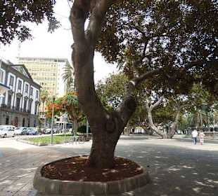 Park San Telmo