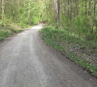 Walderlebnisweg Rottenburg