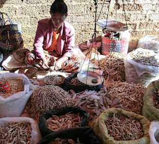 Verschiedene Sorten Trockenfisch