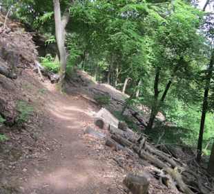 Auf dem Weg zum Hilschweiher