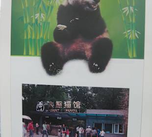 Peking, Zoo
