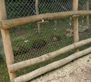 Phäno-Pfad Aichstetten