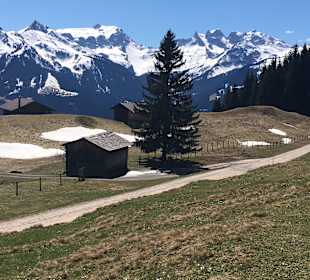 Wandern Bartholomäberg