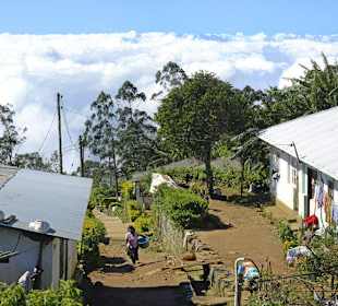 Zugfahrt zu den Horton Plains