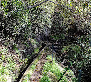 An der Levada entlang