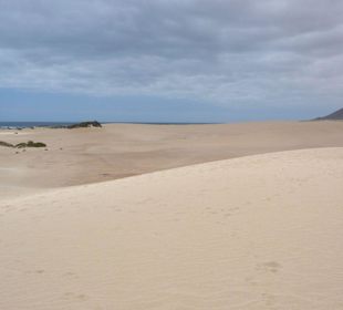 Dünen im Norden der Insel bei Corralejo