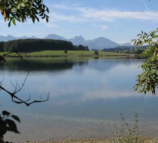 Der Forggensee