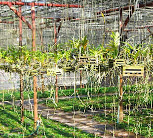 Giardino botanico