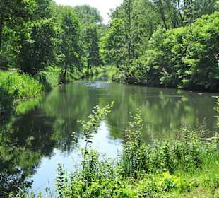 Eindrücke vom Rundgang am Krimpelsee