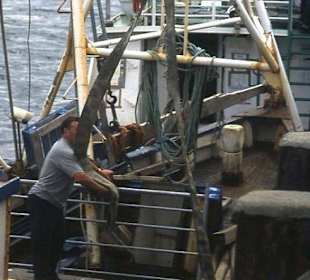 Ausladen im Hafen von Innishbofin Island
