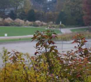 Parkanlage Planten un Blomen