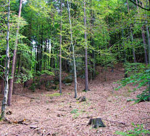 Wanderung zum Bärenfels