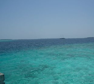 Island Hopping