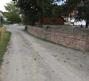 Friedhof Breitenholz