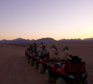 Quadtour...Bei Delfinauslfug mit Mo