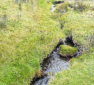Cotopaxi Nationalpark