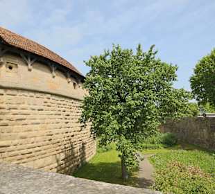 Wallgraben an der Spitalbastei