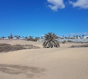 Dünen von Maspalomas