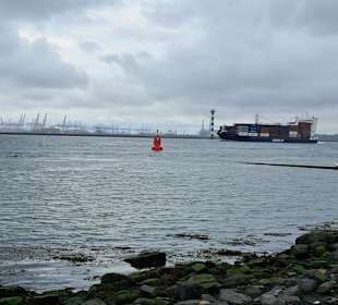 Strand Hoek van Holland in Hoek van Holland