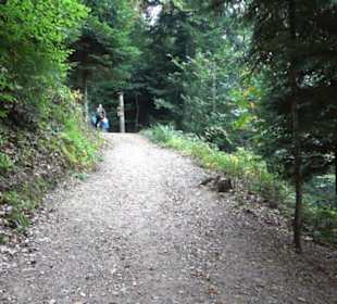 Baumkronenweg 