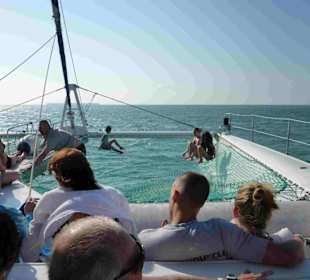 Ausflug zu den Delfinen