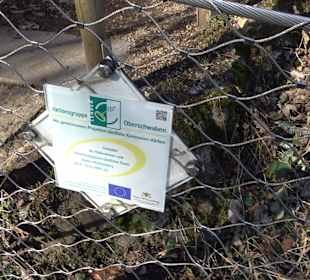 Hängebrücke im Fürstlichen Park