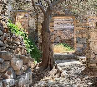 Insel Spinalonga / Kalidonia