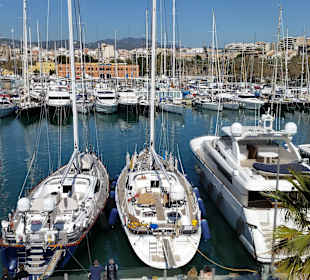 Hafen von Palma de Mallorca im März 17
