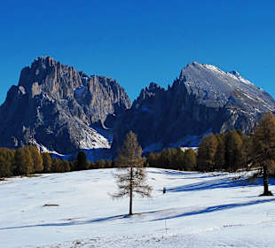 Seiseralm im Schnee - Langkofel