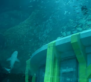 Aquarium mit Untersee-Station