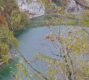 Im Nationalparks Plitvicka Jezera (Plitvicer Seen)