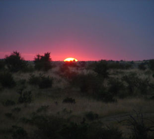 Sonnenuntergang in der Mara