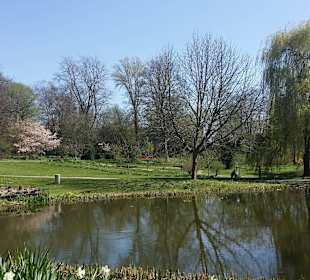 Frühling im Westfalenpark Dortmund