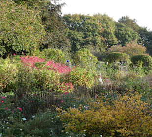 Rundgang durch das herbstliche "Planten un Blomen"
