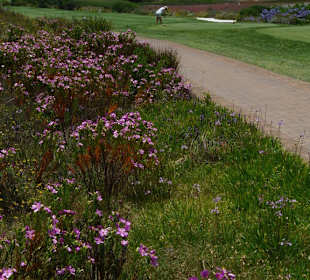 Arabella Golf Resort