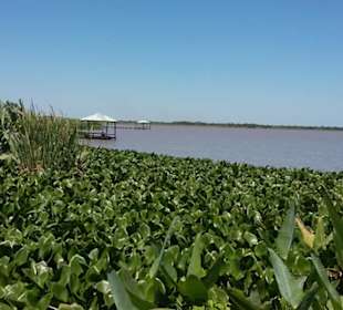 Laguna Blanca