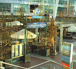 Der Wirtsgarten von oben 
