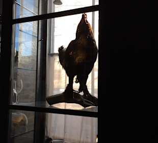 Lokal für das Hochzeitsprobeessen (1. Film)