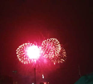 Was für ein Bild...