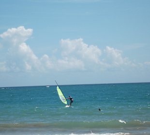 Surfer