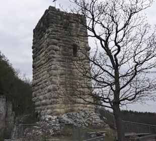 Burgruine Hohenhundersingen
