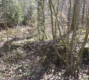 Historischer Rundwanderweg Aichtal